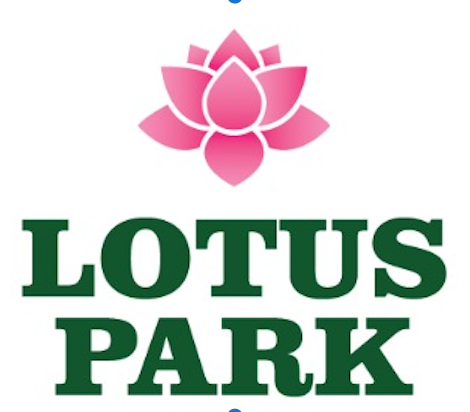 Lotus Realty